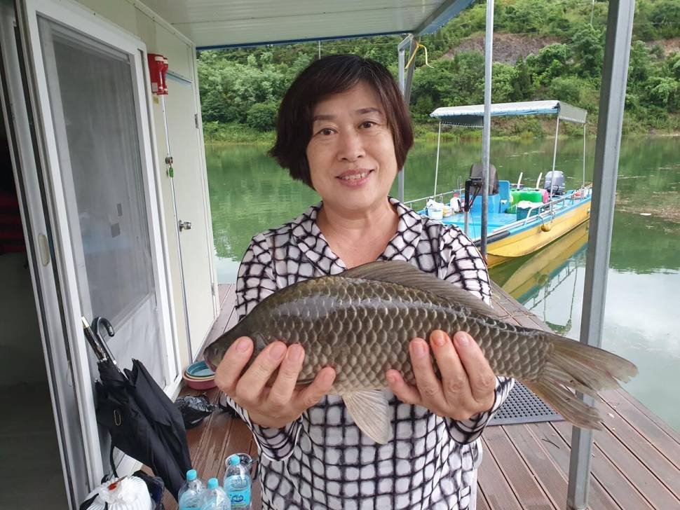 실리곡낚시터 43cm외 조황입니다 (조황조행기 - 충주호조황속보)