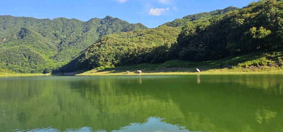 충주 명서낚시터 조황입니다 (조황조행기 - 충주호조황속보)