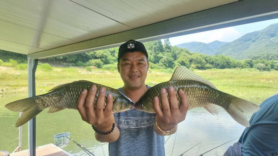 솔낚시터 주중 조황 소식입니다 (조황조행기 - 충주호조황속보)