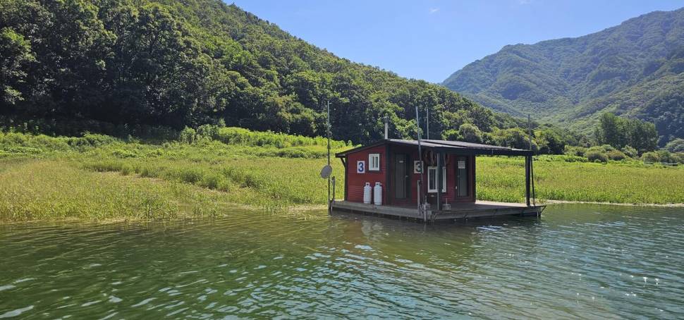 충주 명서낚시터 조황입니다 (조황조행기 - 충주호조황속보)