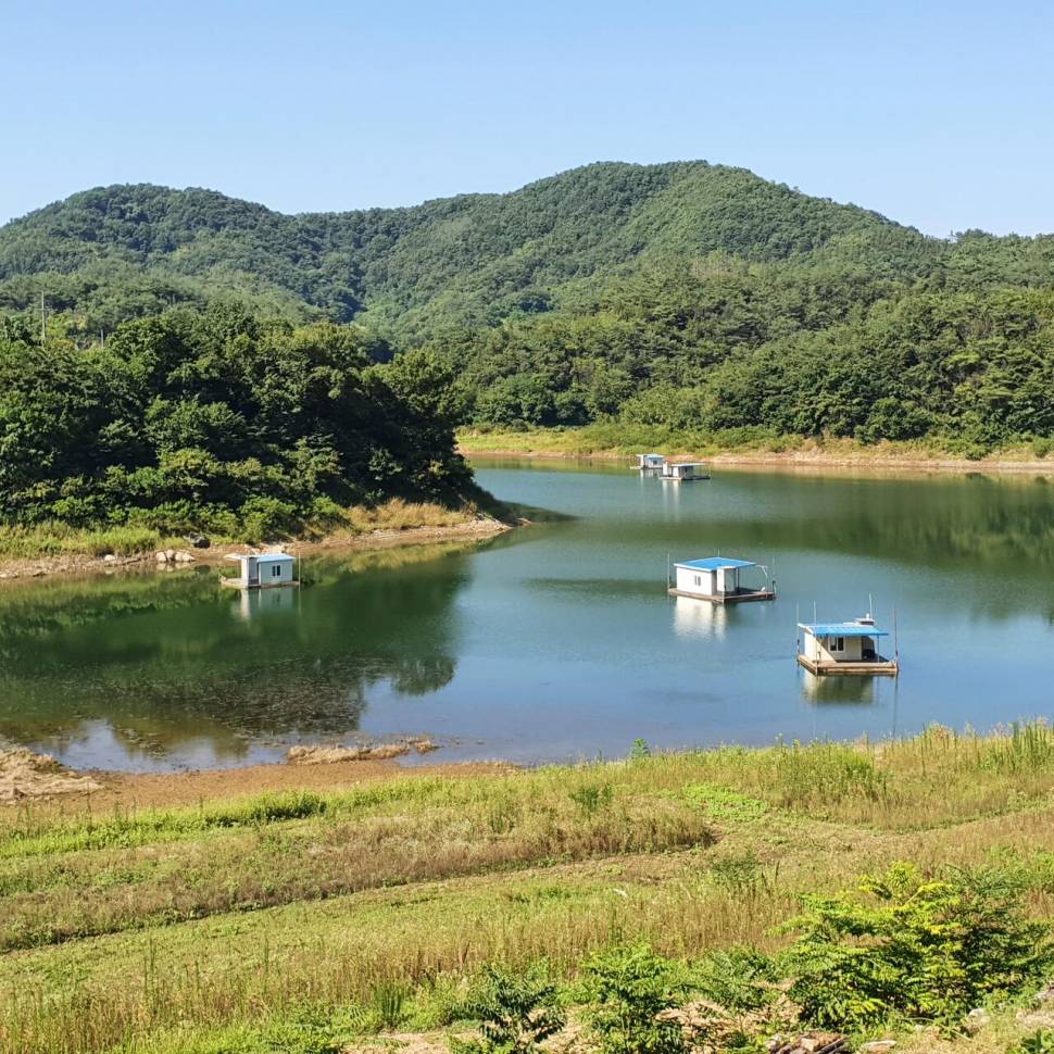 실리곡낚시터 조황입니다 (조황조행기 - 충주호조황속보)
