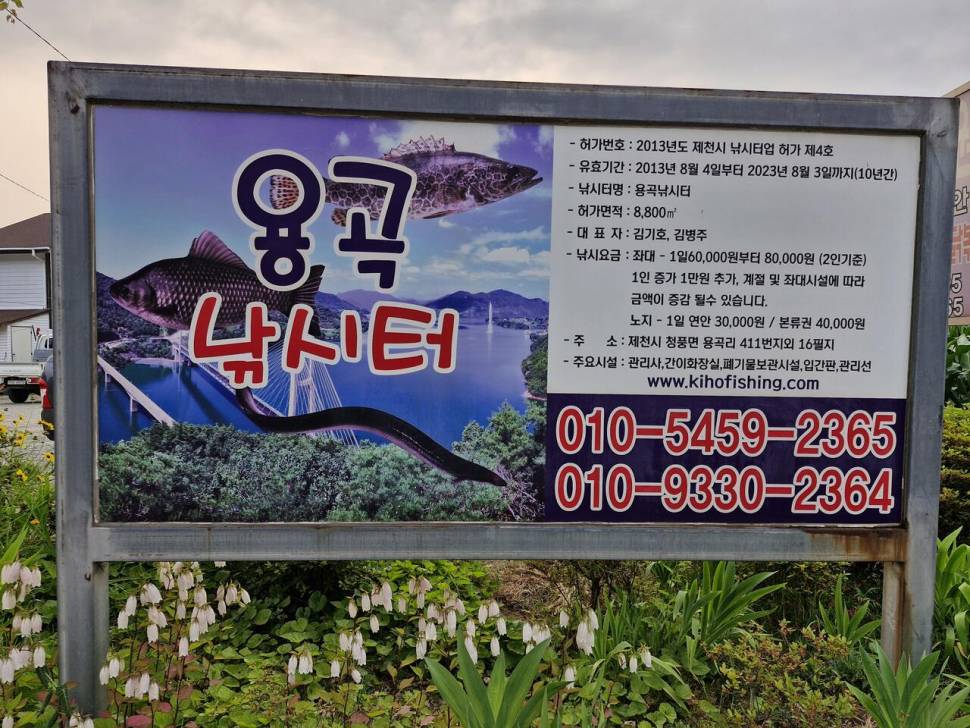 용곡 김기호 낚시터 사짜 조황입니다 (조황조행기 - 충주호조황속보)