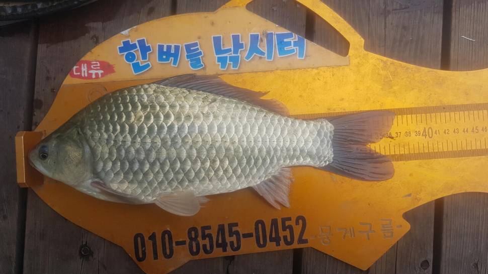 한버들 조황입니다 (조황조행기 - 충주호조황속보)
