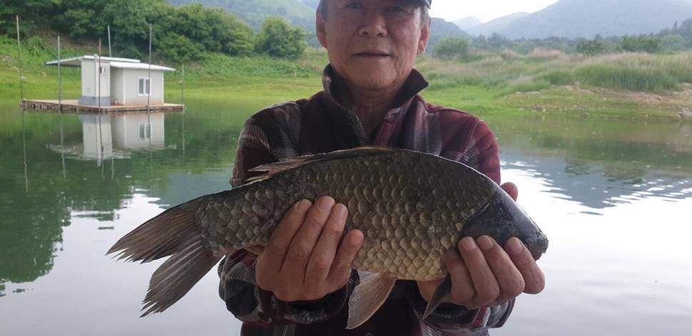 짱가네낚시터 (조황조행기 - 충주호조황속보)