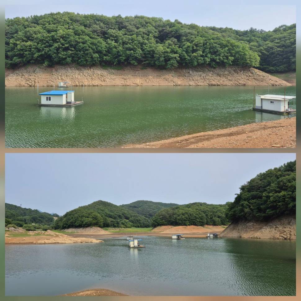 청풍신리낚시터 주말조황입니다 (조황조행기 - 충주호조황속보)