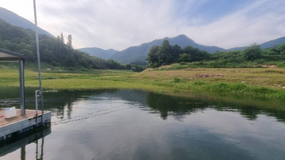 솔낚시터 주중 조황 소식입니다 (조황조행기 - 충주호조황속보)