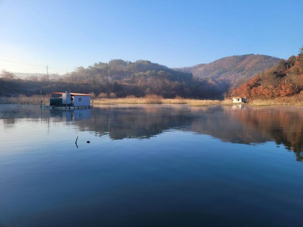 청풍 실리곡낚시터입니다 (조황조행기 - 충주호조황속보)