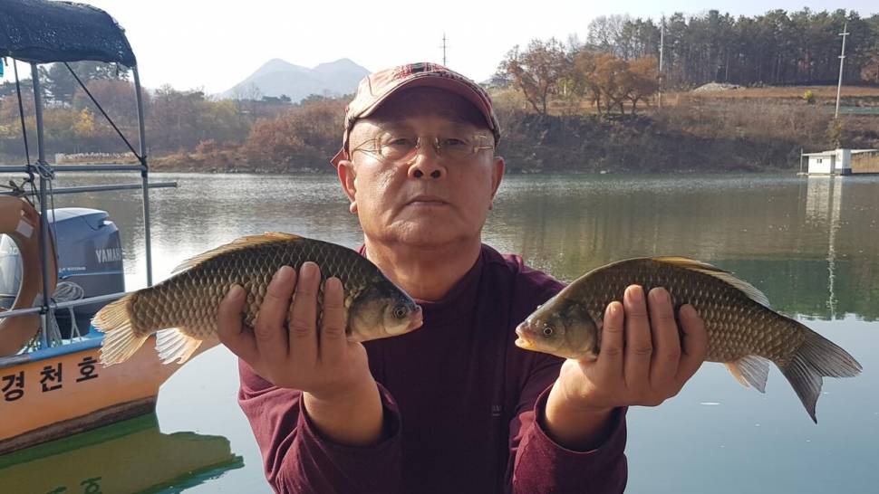 청풍호 한버들 조황입니다 (조황조행기 - 충주호조황속보)