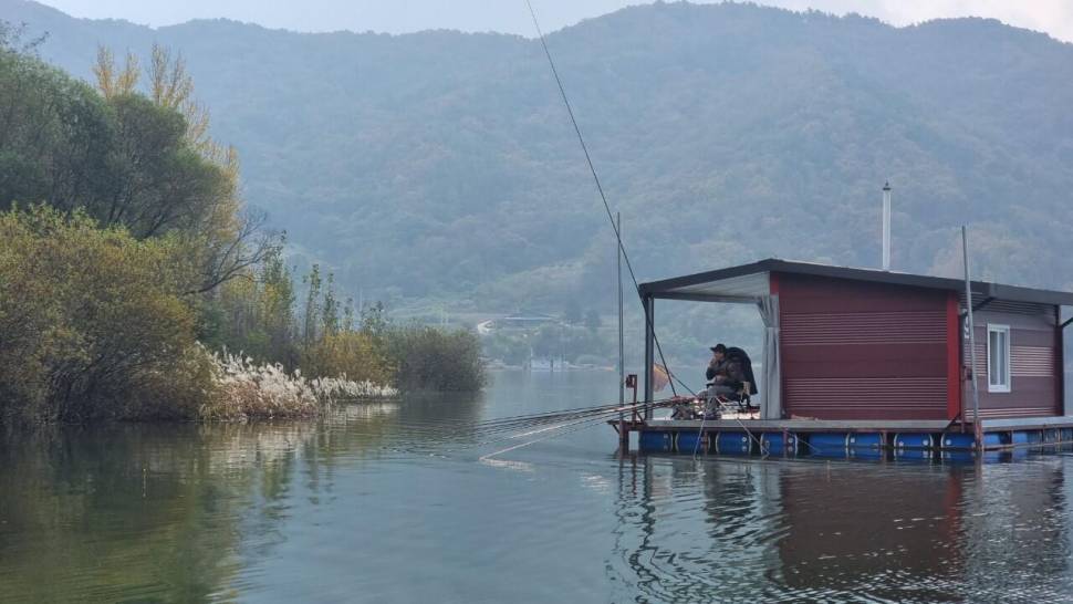 솔낚시터 조황소식 입니다 (조황조행기 - 충주호조황속보)