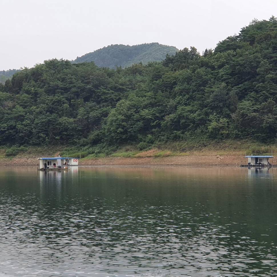 실리곡낚시터 허리급 조황입니다 (조황조행기 - 충주호조황속보)