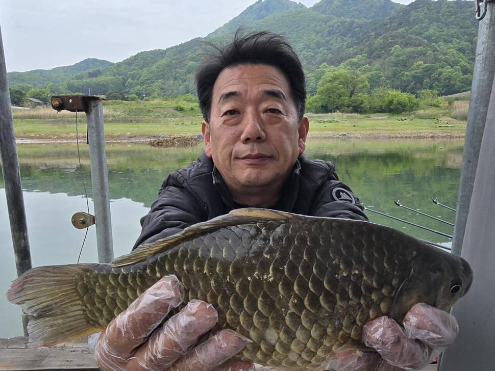 청풍 한버들 조황입니다 (조황조행기 - 충주호조황속보)