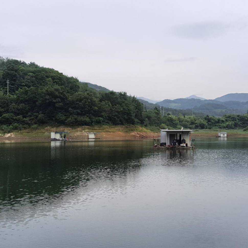 실리곡낚시터 허리급 조황입니다 (조황조행기 - 충주호조황속보)