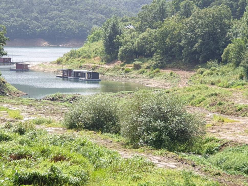 솔낚시터 입니다 (조황조행기 - 충주호조황속보)