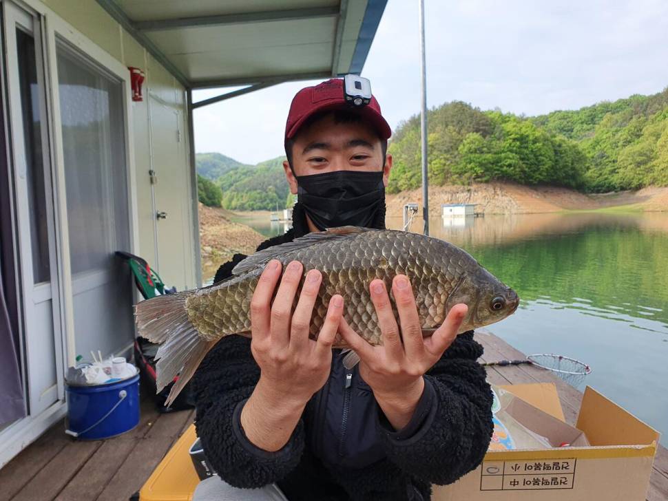 청풍신리낚시터 42cm4짜허리급 조황입니다 (조황조행기 - 충주호조황속보)