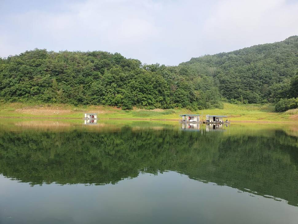 실리곡낚시터 허리급 조황입니다 (조황조행기 - 충주호조황속보)