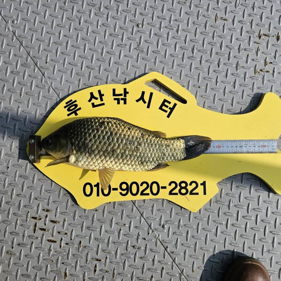후산낚시터 조황안내 (조황조행기 - 충주호조황속보)