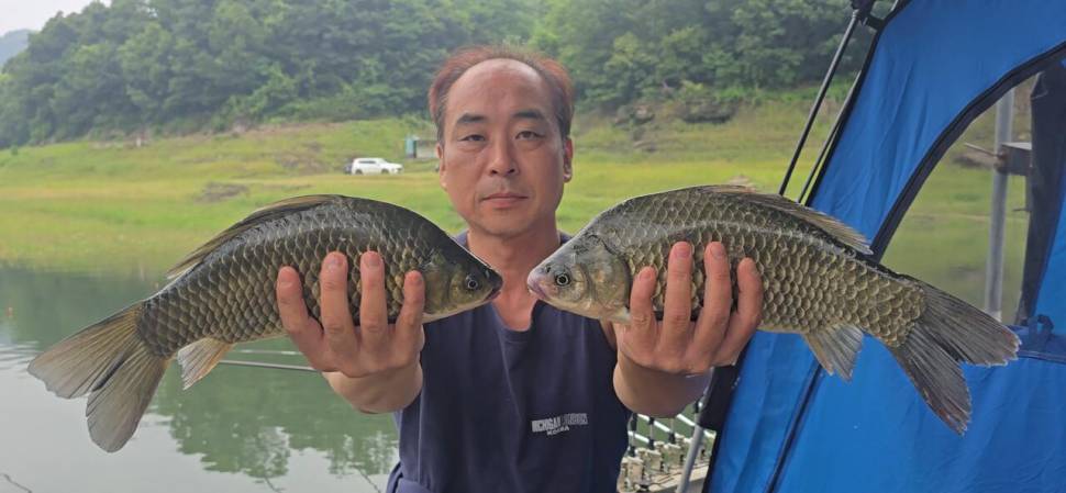 신매낚시터 7월 21일 조황 (조황조행기 - 충주호조황속보)