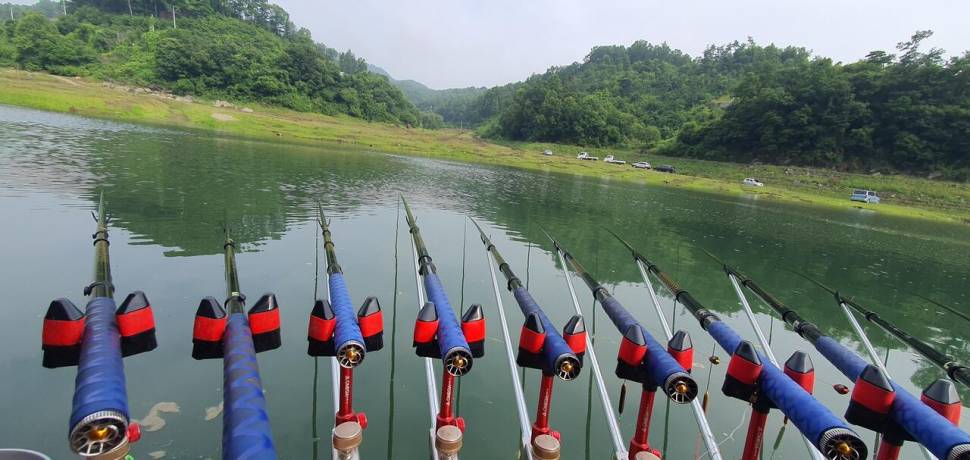 신매낚시터 7월 2일조황 (조황조행기 - 충주호조황속보)