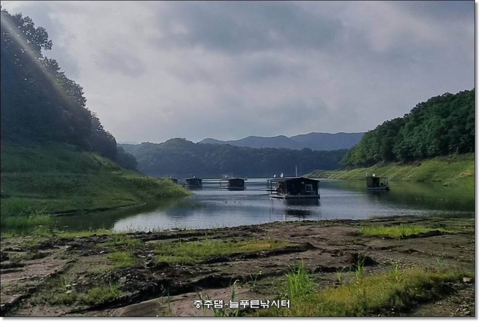간밤에 폭우가 내렸습니다 (조황조행기 - 충주호조황속보)