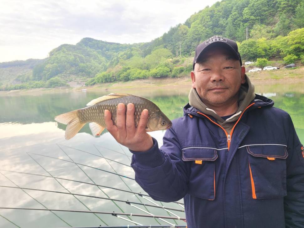 청풍 실리곡낚시터 4짜외 허리급입니다 (조황조행기 - 충주호조황속보)