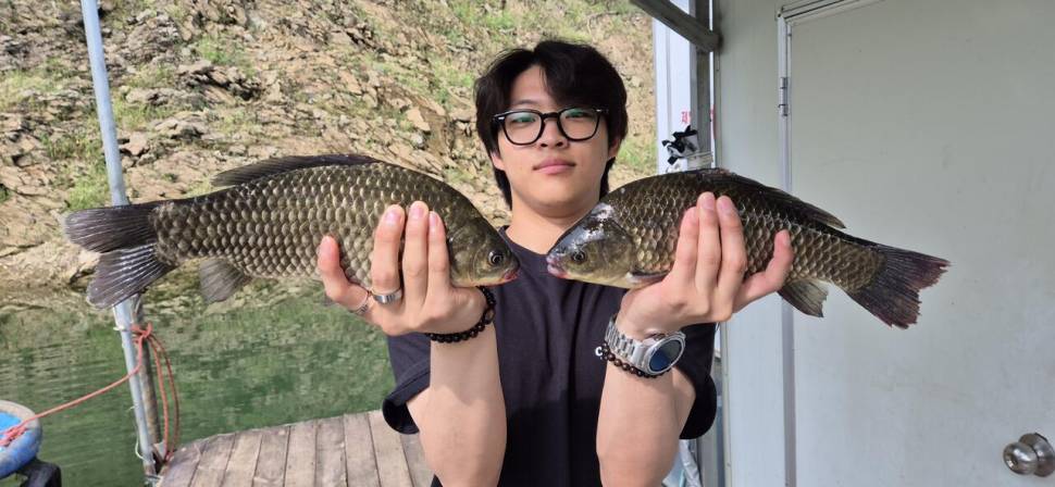 청풍신리낚시터 조황입니다 (조황조행기 - 충주호조황속보)