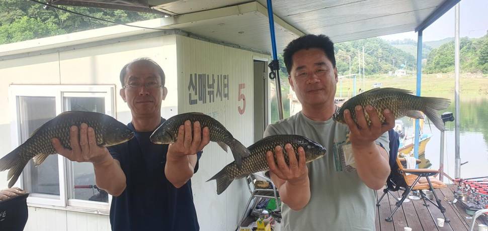신매낚시터 7월 4일조황 (조황조행기 - 충주호조황속보)