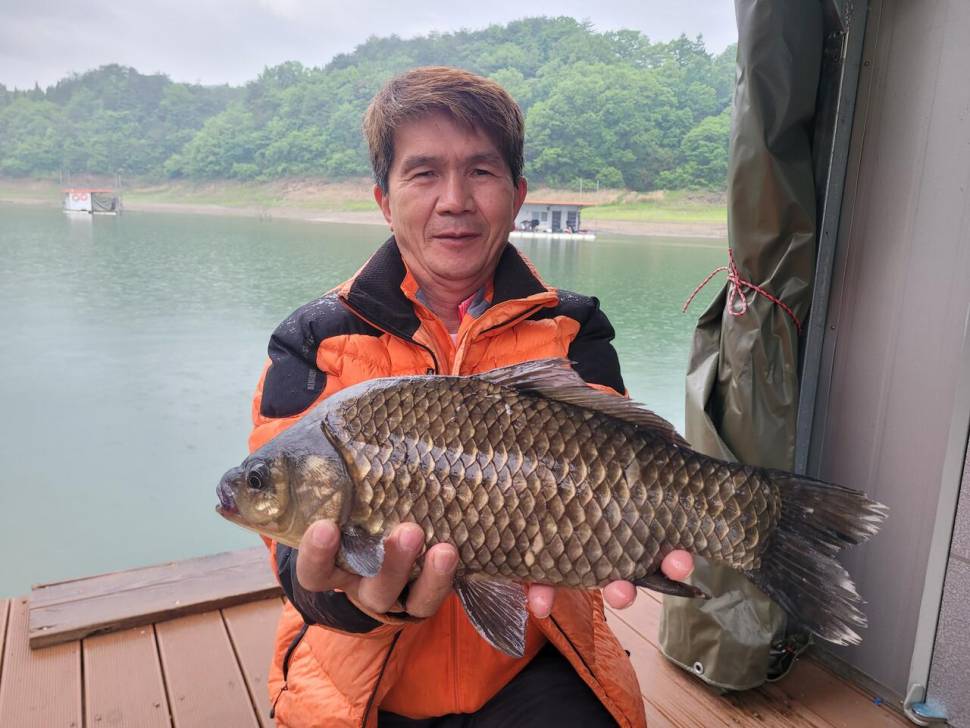 청풍 실리곡낚시터 43cm 대물입니다 (조황조행기 - 충주호조황속보)