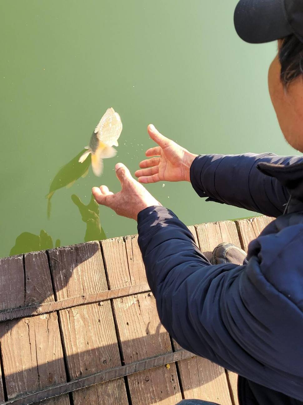 실리곡낚시터 조황입니다 (조황조행기 - 충주호조황속보)