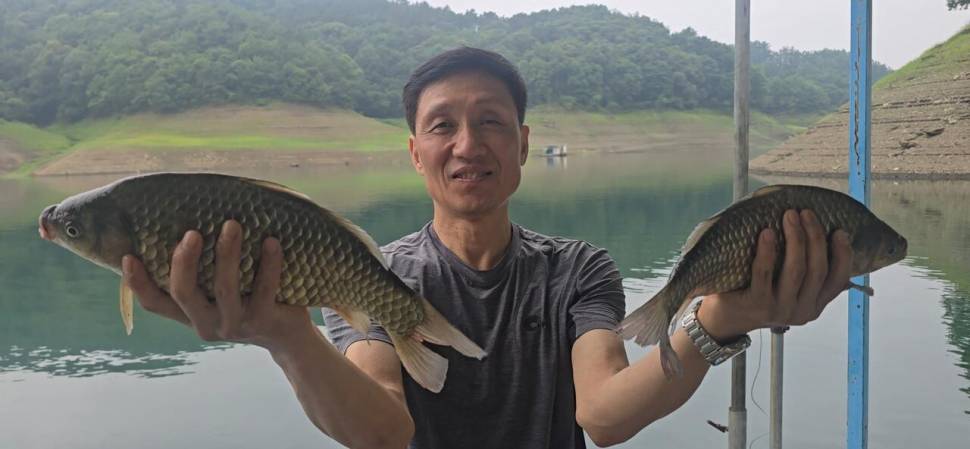 신매낚시터 6월 29일 조황 (조황조행기 - 충주호조황속보)