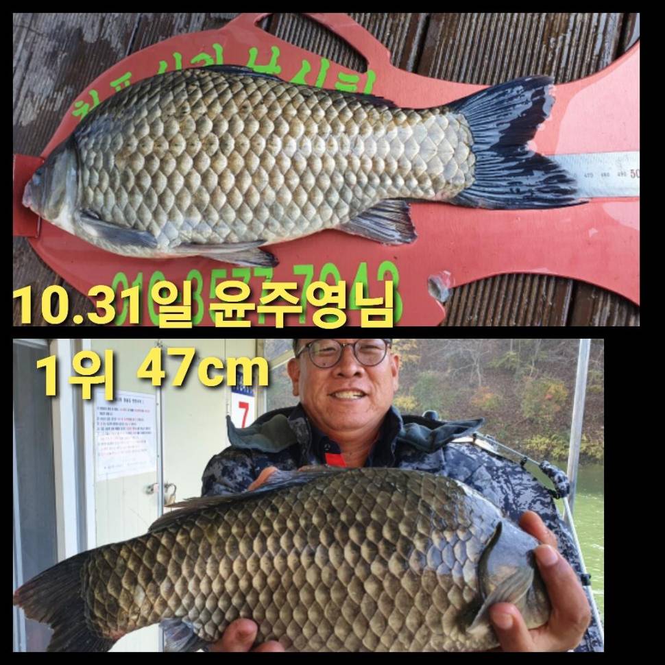 청풍신리낚시터 소식입니다 (조황조행기 - 충주호조황속보)
