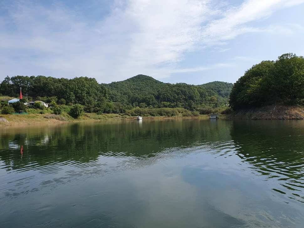 청풍신리낚시터 조황입니다 (조황조행기 - 충주호조황속보)