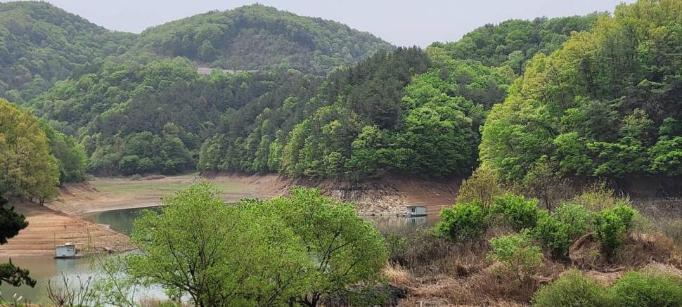 청풍신리낚시터 허리급 조황입니다 (조황조행기 - 충주호조황속보)