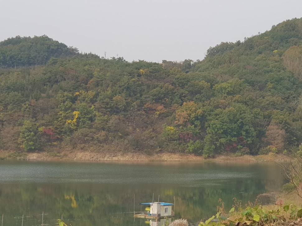 실리곡낚시터 허리급 조황입니다 (조황조행기 - 충주호조황속보)