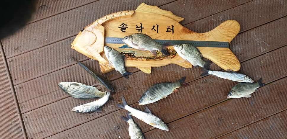 솔낚시터 조황입니다 (조황조행기 - 충주호조황속보)