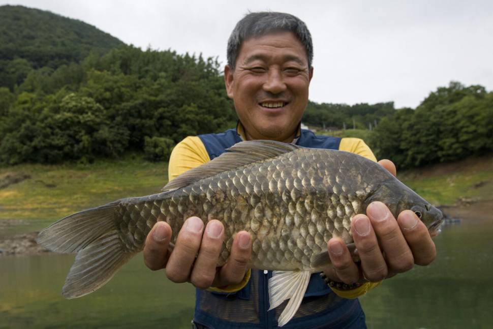 충주호목벌낚시터소식 (조황조행기 - 충주호조황속보)