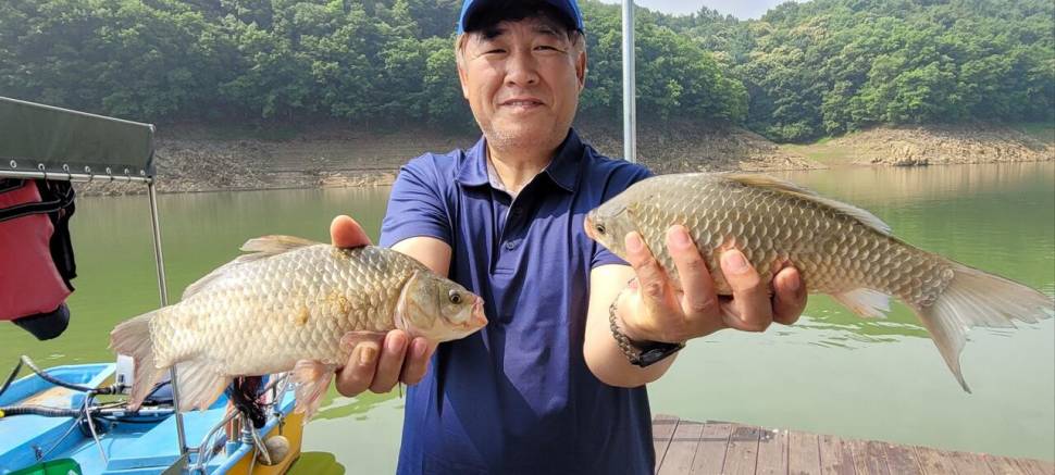 청풍신리낚시터 허리급입니다 (조황조행기 - 충주호조황속보)