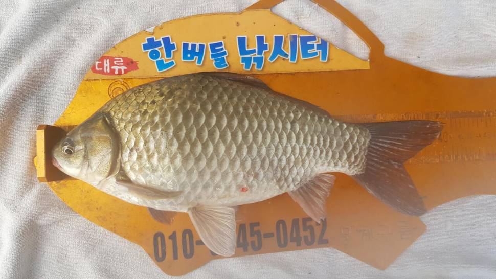 한버들 제1회 왕중왕전 대회 요약4짜포함 1부 (조황조행기 - 충주호조황속보)
