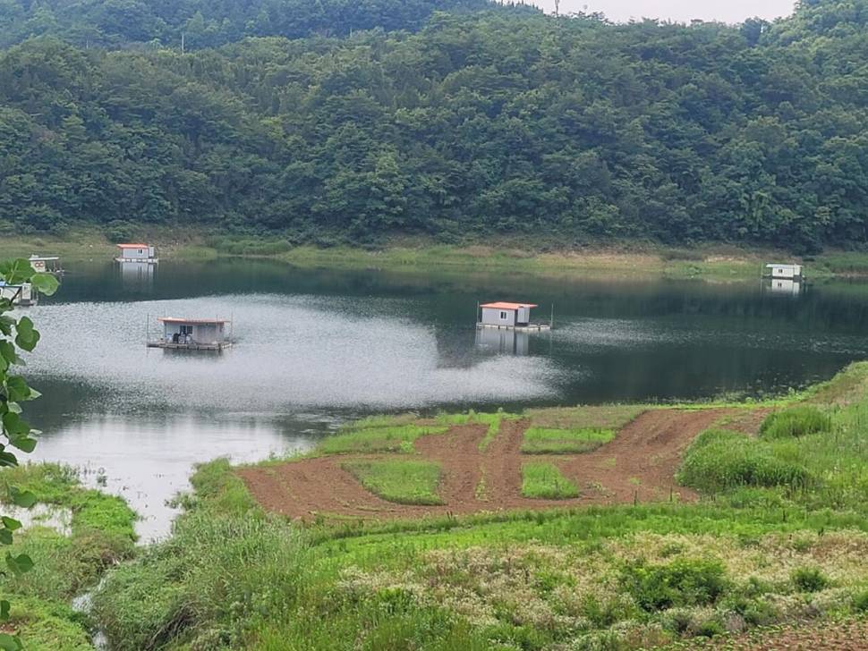 실리곡낚시터 허리급 조황입니다 (조황조행기 - 충주호조황속보)