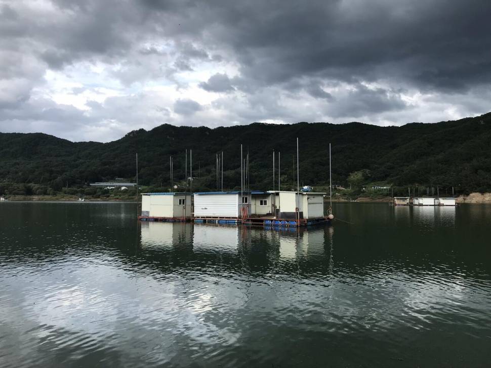 오랜만입니다 솔낚시터입니다 (조황조행기 - 충주호조황속보)