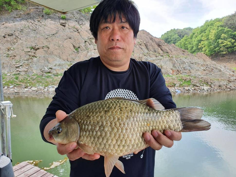 청풍신리낚시터 42cm4짜 조황입니다 (조황조행기 - 충주호조황속보)