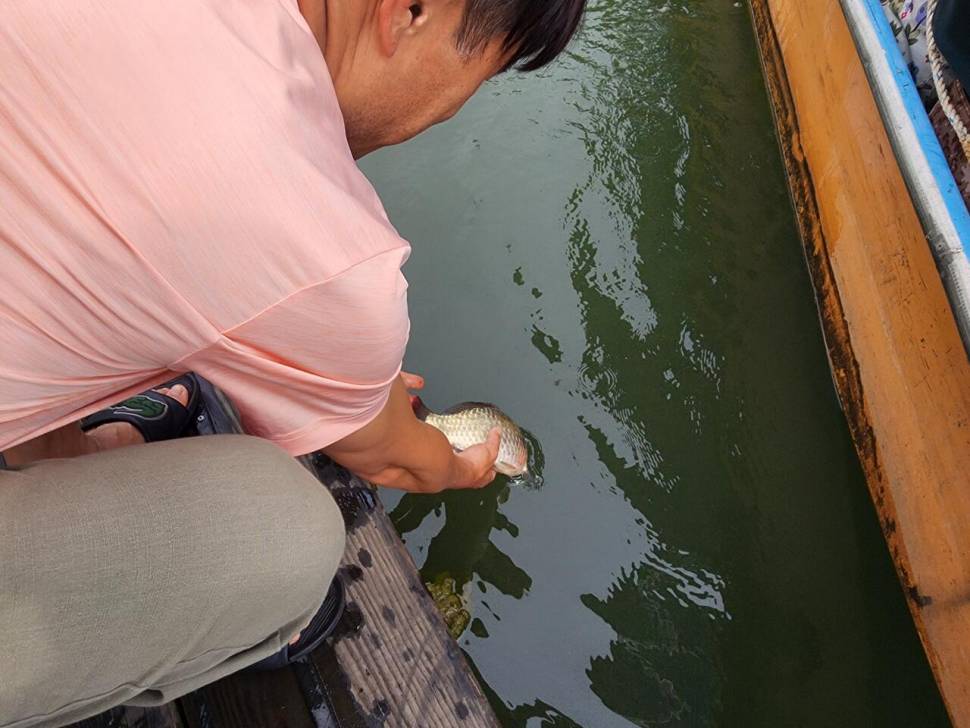 청풍 한버들 조황입니다 (조황조행기 - 충주호조황속보)