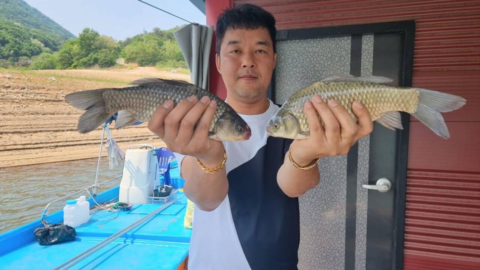 솔낚시터 사짜 조황소식 전합니다 (조황조행기 - 충주호조황속보)