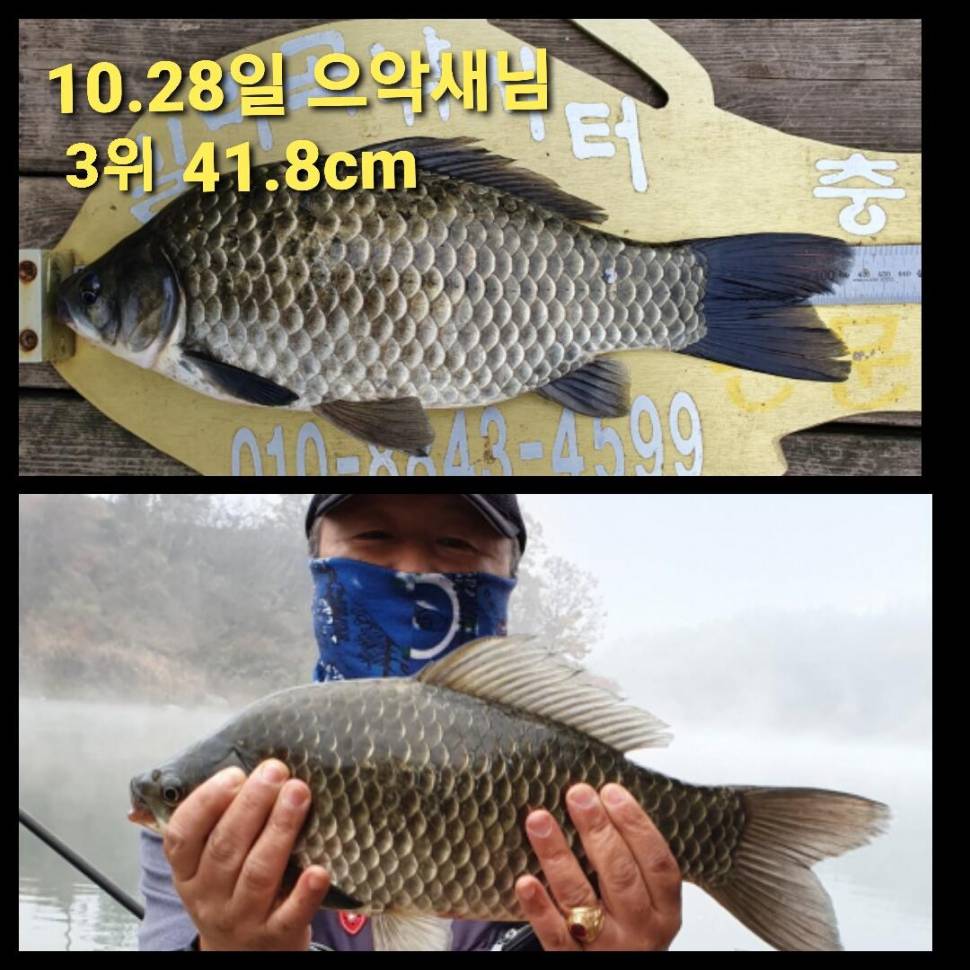 실리곡낚시터 44cm 대물 조황입니다 (조황조행기 - 충주호조황속보)