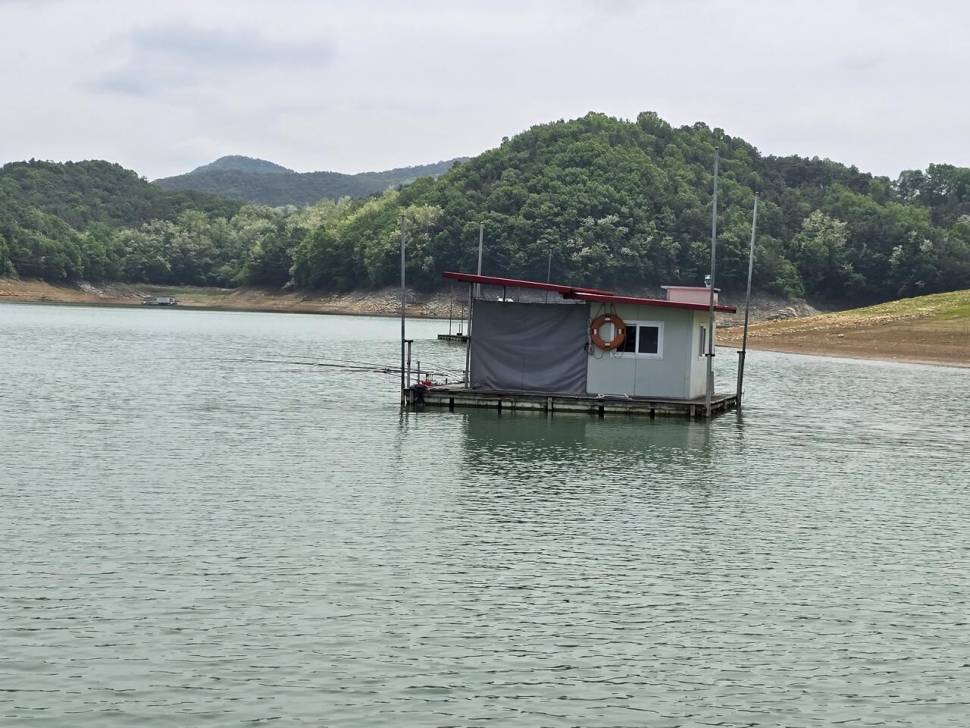 청풍 한버들 조황입니다 (조황조행기 - 충주호조황속보)