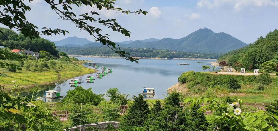 용곡 김기호 낚시터 사짜와 허리급 조황입니다 (조황조행기 - 충주호조황속보)