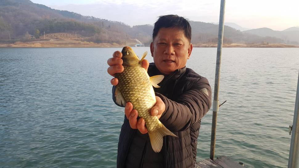 청풍 한버들 허릿급 조황입니다 (조황조행기 - 충주호조황속보)