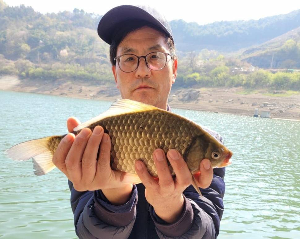 실리곡낚시터 허리급외 월척마릿수입니다 (조황조행기 - 충주호조황속보)