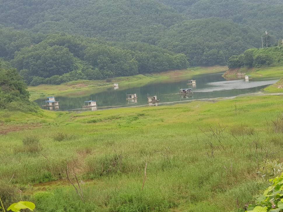 실리곡낚시터 조황입니다 (조황조행기 - 충주호조황속보)