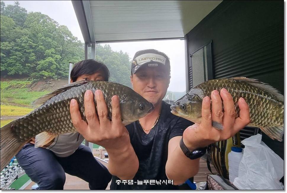간밤에 폭우가 내렸습니다 (조황조행기 - 충주호조황속보)