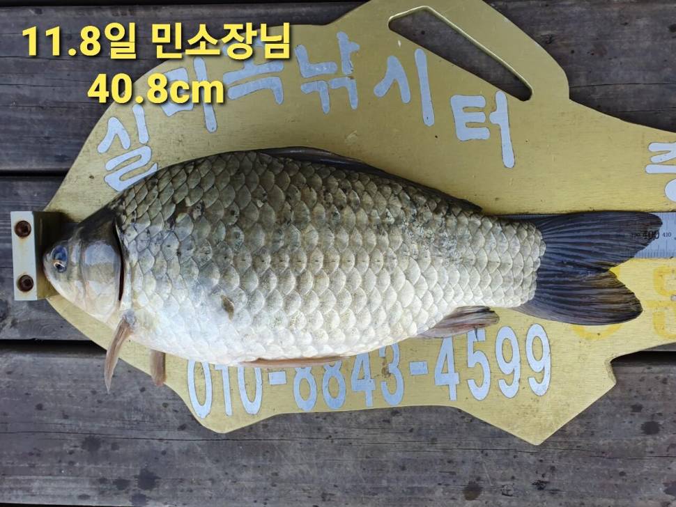 실리곡낚시터 44cm 대물 조황입니다 (조황조행기 - 충주호조황속보)